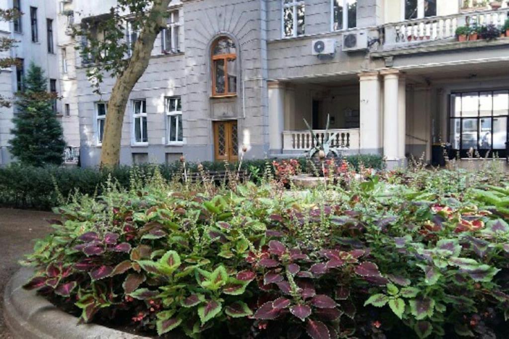 Gorgeous Flat Right Near The City Center Budapest Eksteriør billede