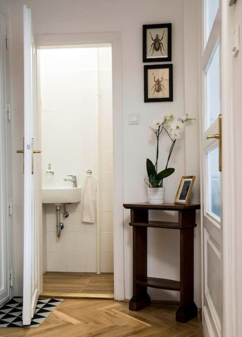 Gorgeous Flat Right Near The City Center Budapest Eksteriør billede